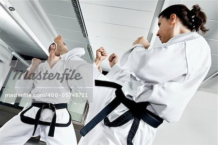 An image of two fighting martial arts master
