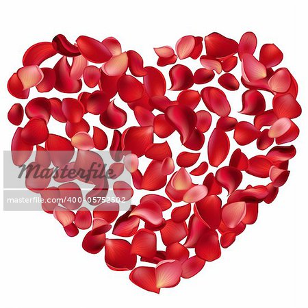 Big heart made of red rose petals