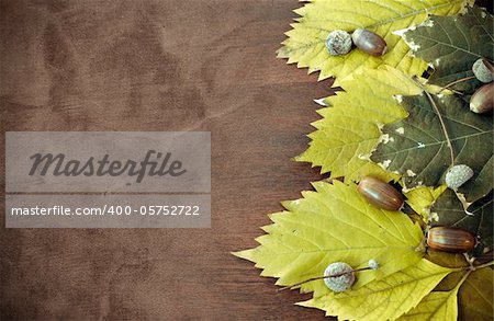 Rusted leafs on wood background