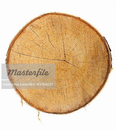 Top view of a tree stump isolated on white background
