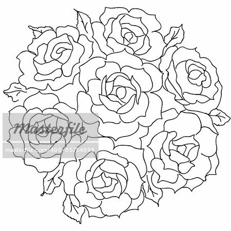 Large bouquet of roses. vector