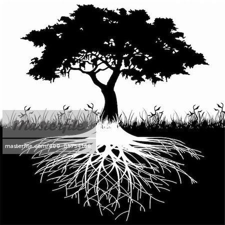 Illustration of silhouette tree with roots as a symbol of nature.