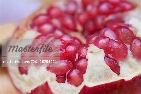 Close-up of Pomegranate Close-up of Pomegranate