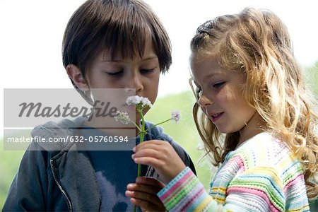 Enfants regardant les fleurs sauvages