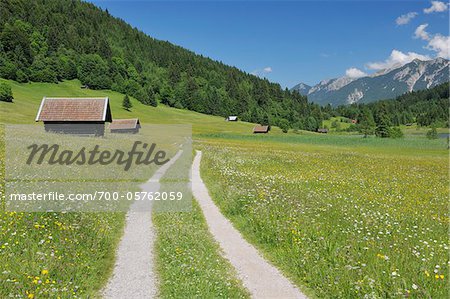 Landstraße durch Wiese, nahe Geroldsee, Werdenfelser Land, Garmisch-Partenkirchen, Bayern, Deutschland