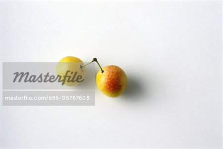 Two Mirabelle plums, white background
