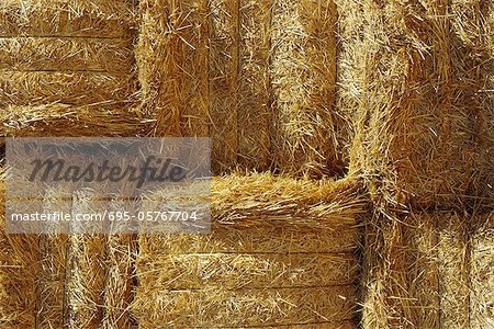 Stacked hay bales, close-up, full frame