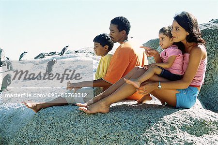 Famille assis sur les rochers, en regardant les pingouins