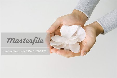 Cupped hands holding flower petals, cropped view Cupped hands holding flower petals, cropped view