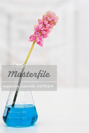 Artificial flower in beaker with blue liquid