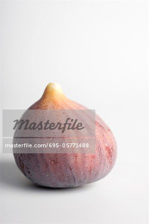 Fig
