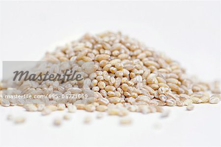 Pile of brown pearl barley on white background