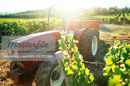 Tracteur de vigne
