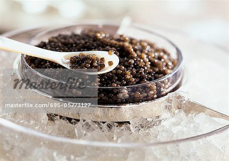 Sturgeon caviar on ice, close-up
