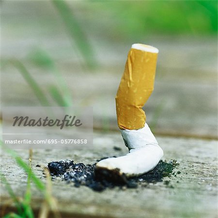 Snuffed out cigarette butt on wooden plank Snuffed out cigarette butt on wooden plank