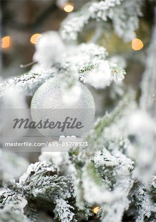 Ornement de Noël Ornement de Noël