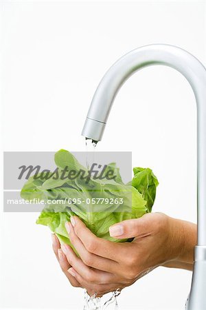 Woman rinsing lettuce under faucet, cropped view of hands