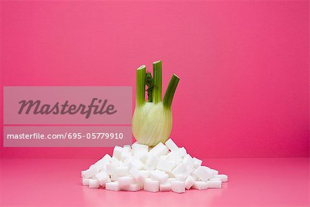 Food concept, fresh fennel on top of pile of sugar cubes Food concept, fresh fennel on top of pile of sugar cubes