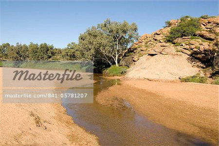 La piscine de survivante dans le lit de la rivière normalement sec, considéré comme un ressort de roche-mère sorte a été nommée Alice Springs, dans la ville du même nom, Alice Springs, Northern Territory, Australie, Pacifique