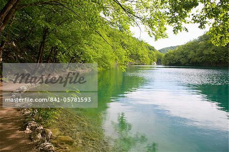 Les eaux turquoises du lac Milanovac, Parc National Plitvice (Plitvicka Jezera), patrimoine mondial de l'UNESCO, comitat de Lika-Senj, en Croatie, Europe