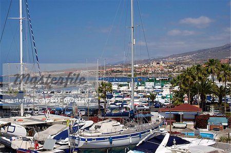 Puerto Colon, Playa de las Americas, Tenerife, îles Canaries, Espagne, Atlantique, Europe