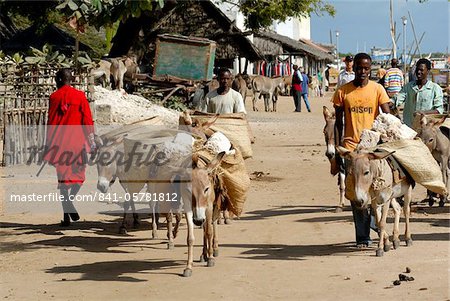 Donkey transport, Old Town, UNESCO World Heritage Site, Lamu island, Kenya, East Africa, Africa