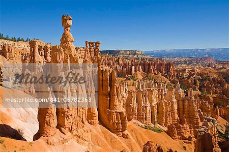 Thor's Hammer, an iconic hoodoo on the Navajo trail, a hiking trail through Bryce Amphitheater, Bryce Canyon National Park, Utah, United States of America, North America
