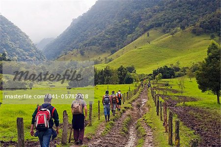 Hiking in Cocora Valley, Salento, Colombia, South America