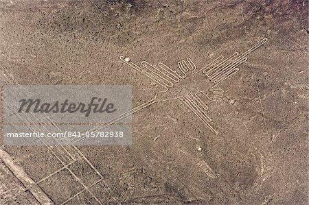 Colibri, lignes et géoglyphes de Nasca, Site du patrimoine mondial de l'UNESCO, le Pérou, l'Amérique du Sud