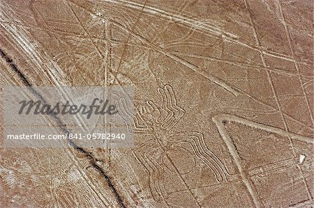Spinne, Linien und Bodenzeichnungen von Nasca, UNESCO World Heritage Site, Peru, Südamerika