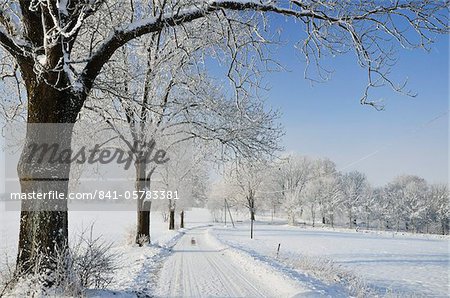 Paysage d'hiver, près de Villingen-Schwenningen, district de la Forêt Noire-Baar (Schwarzwald-Baar), Bade-Wurtemberg, Allemagne, Europe