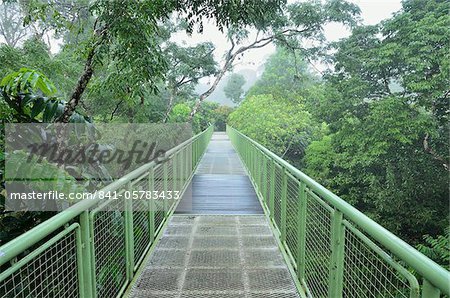 Passage couvert, centre de découverte de forêt tropicale de Sepilok, Sabah, Borneo, Malaisie, Asie du sud-est, Asie