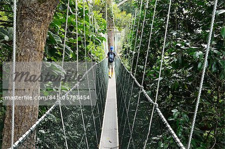 Canopy walk, Parc National de Taman Negara, Pahang, Malaisie, Asie du sud-est, Asie