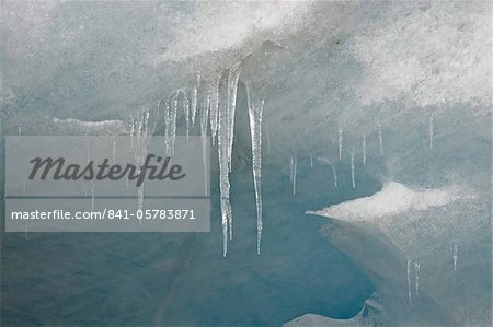 Icicles on the face of the Athabasca Glacier, Jasper National Park, UNESCO World Heritage Site, Alberta, Canada, North America