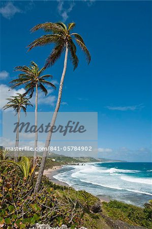 Bathsheba Beach, Barbados, Windward Islands, Westindische Inseln, Karibik, Mittelamerika