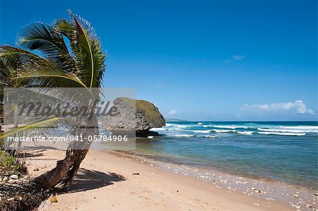 Bathsheba Beach, Barbados, Windward Islands, West Indies, Caribbean, Central America