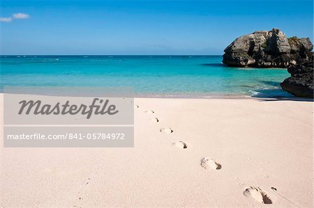 Warwick Long Bay, baie de Jobson, Bermudes, l'Amérique centrale