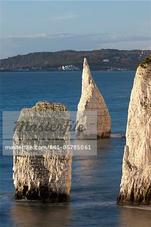 Parson's Barn and The Pinnacles from Handfast Point, Jurrasic Coast, UNESCO World Heritage Site, Dorset, England, United Kingdom, Europe