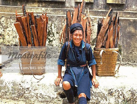 Hmong woman in Sapa region, North Vietnam, Vietnam, Indochina, Southeast Asia, Asia