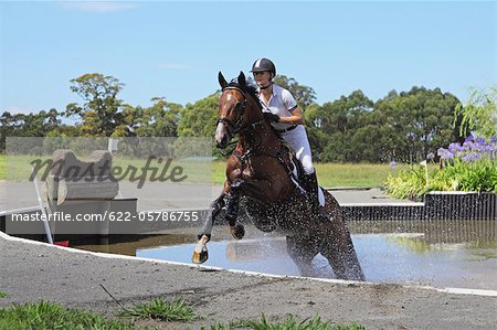 Cavalier cheval traversant l'eau dans l'événement équestre