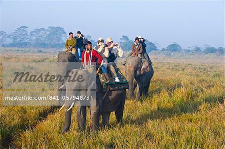 Touristen auf Elefanten, Kaziranga-Nationalpark, UNESCO World Heritage Site, Assam, nordöstlichen Indien, Indien, Asien