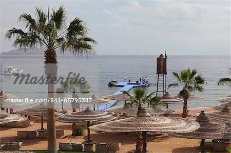 Parasols et des palmiers de la plage White Knight Beach, Sharm el-Sheikh, Egypte, Afrique du Nord, Afrique Parasols et des palmiers de la plage White Knight Beach, Sharm el-Sheikh, Egypte, Afrique du Nord, Afrique