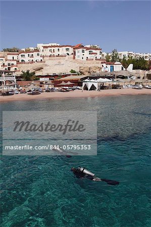 Scuba divers enjoy the clear Red Sea waters at Sharks Bay, Sharm el-Sheikh, Sinai South, Egypt, North Africa, Africa