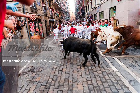 Septième Encierro (course des bulls), festival de San Fermin, Pampelune, Navarre (Navarre), Espagne, Europe