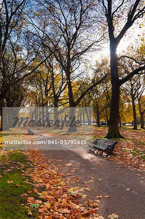 Green Park en automne, Londres, Royaume-Uni, Europe