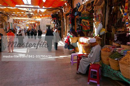 Vieille ville Souk, Assouan, Haute-Egypte, Egypte, Afrique du Nord, Afrique Vieille ville Souk, Assouan, Haute-Egypte, Egypte, Afrique du Nord, Afrique