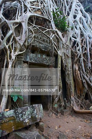 Tree roots around entrance to Ta Prohm temple built in 1186 by King Jayavarman VII, Angkor, UNESCO World Heritage Site, Siem Reap, Cambodia, Indochina, Southeast Asia, Asia