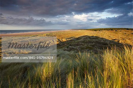 Dramatic last light on the dunes overlooking Holkham Bay, Norfolk, England, United Kingdom, Europe