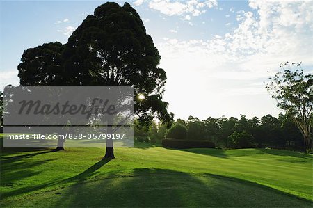 Golf course