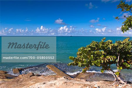 Fort Bay, Antigua, Antigua and Barbudo